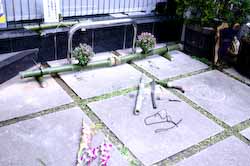 １１